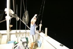 オーシャンズ 釣果