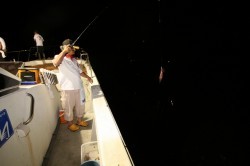 オーシャンズ 釣果