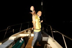 オーシャンズ 釣果