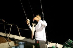 オーシャンズ 釣果