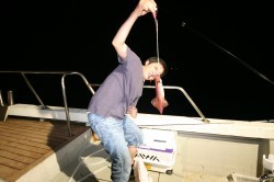 オーシャンズ　シロイカ好釣！