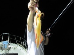 ジギング船 BLUEWATER 釣果