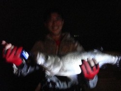 誠丸 釣果 投稿