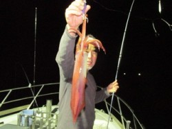 ジギング船 BLUEWATER 釣果 投稿