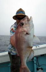 第五 八千代丸 釣果 投稿