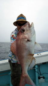 第五 八千代丸 釣果 投稿