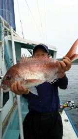 第五 八千代丸 釣果 投稿