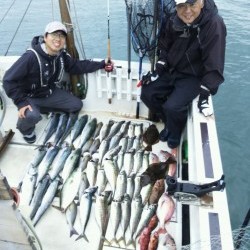 さぶろう丸 釣果 投稿