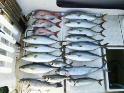 さぶろう丸 釣果