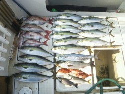 さぶろう丸 釣果