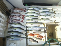 さぶろう丸 釣果