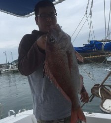 LUZ PLAYA　ルスプラージャ 釣果