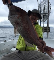 LUZ PLAYA　ルスプラージャ 釣果