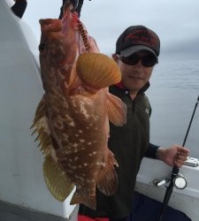 LUZ PLAYA　ルスプラージャ 釣果