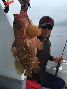 LUZ PLAYA　ルスプラージャ 釣果