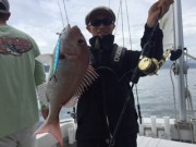 シーマジカル 釣果