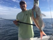 シーマジカル 釣果