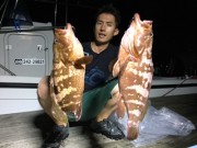 シーマジカル 釣果