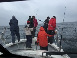 オーシャンキッズ 釣果 投稿