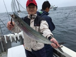 オーシャンキッズ 釣果 投稿