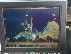 オーシャンキッズ 釣果