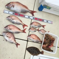 リトルワン 釣果