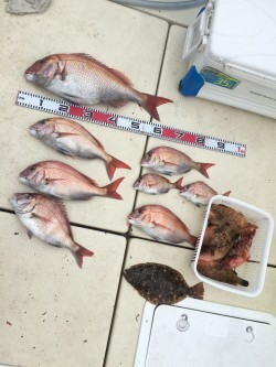 リトルワン 釣果