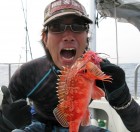 Aquanaut（アクアノート） 釣果 投稿