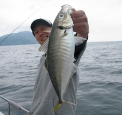 Aquanaut(アクアノート) 釣果 投稿