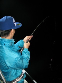 Aquanaut（アクアノート） 釣果 投稿