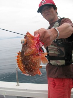 Aquanaut（アクアノート） 釣果 投…