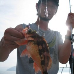 Aquanaut（アクアノート） 釣果