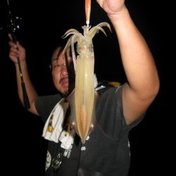 Aquanaut（アクアノート） 釣果