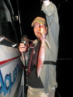 Aquanaut（アクアノート） 釣果