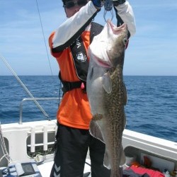 Aquanaut（アクアノート） 釣果