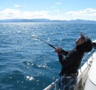 Aquanaut（アクアノート） 釣果