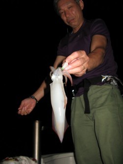 Aquanaut(アクアノート) 釣果