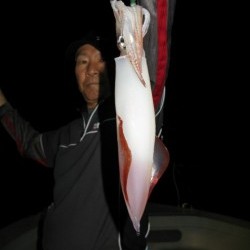 Aquanaut（アクアノート） 釣果