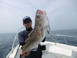 ハピネスⅡ 釣果 投稿