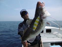 ハピネスⅡ 釣果 投稿