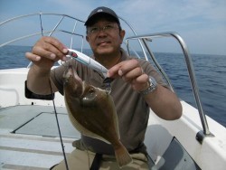 ハピネスⅡ 釣果 投稿