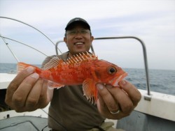 ハピネスⅡ 釣果 投稿