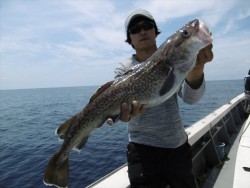 ハピネスⅡ 釣果 投稿