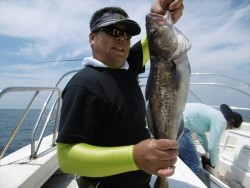 ハピネスⅡ 釣果 投稿