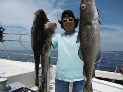 ハピネスⅡ 釣果 投稿