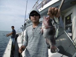 ハピネスⅡ 釣果 投稿