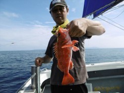 ハピネスⅡ 釣果 投稿