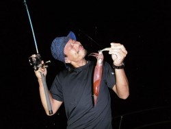 ハピネスⅡ 釣果