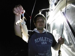 ハピネスⅡ 釣果