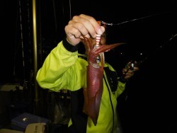 ハピネスⅡ 釣果